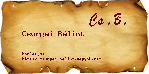 Csurgai Bálint névjegykártya