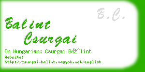 balint csurgai business card